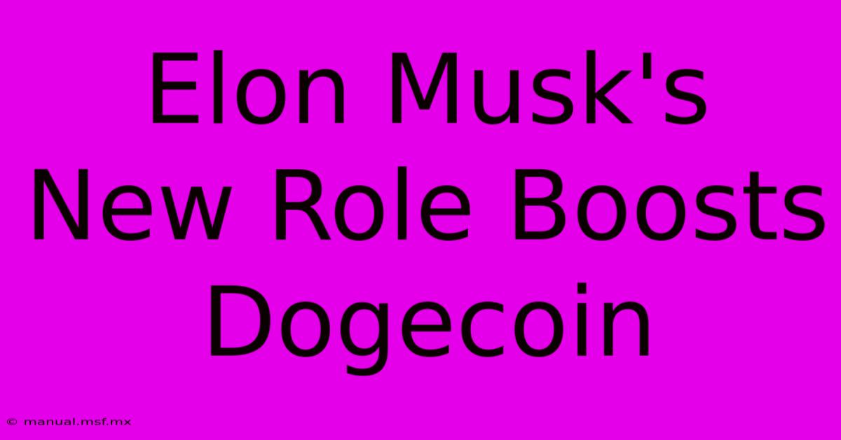 Elon Musk's New Role Boosts Dogecoin