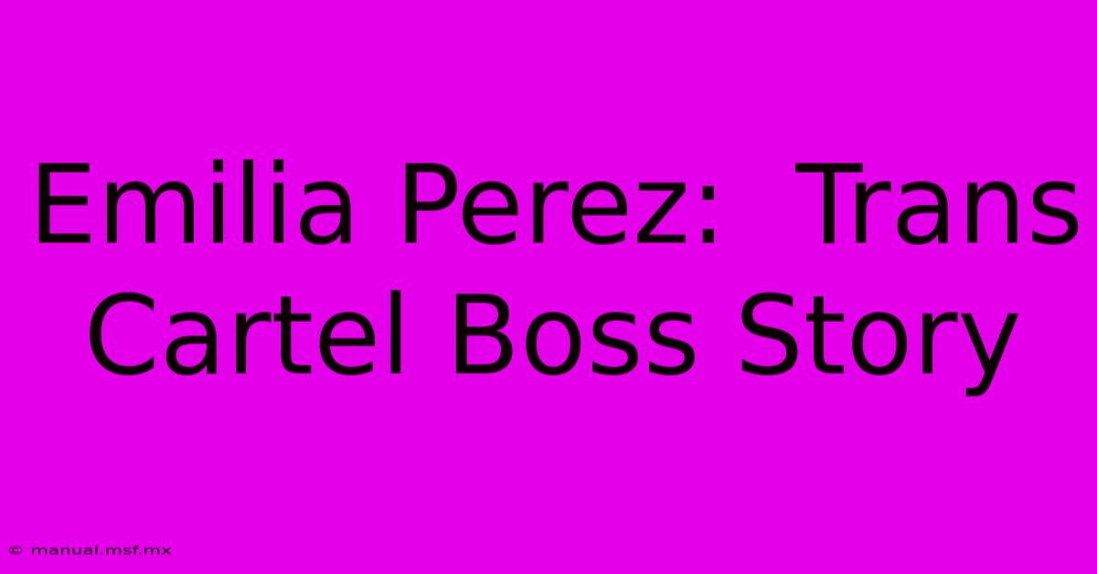 Emilia Perez:  Trans Cartel Boss Story 