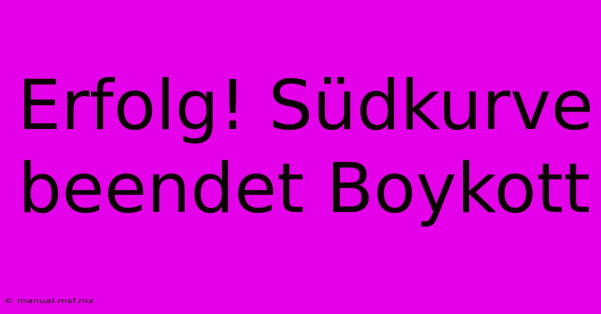 Erfolg! Südkurve Beendet Boykott