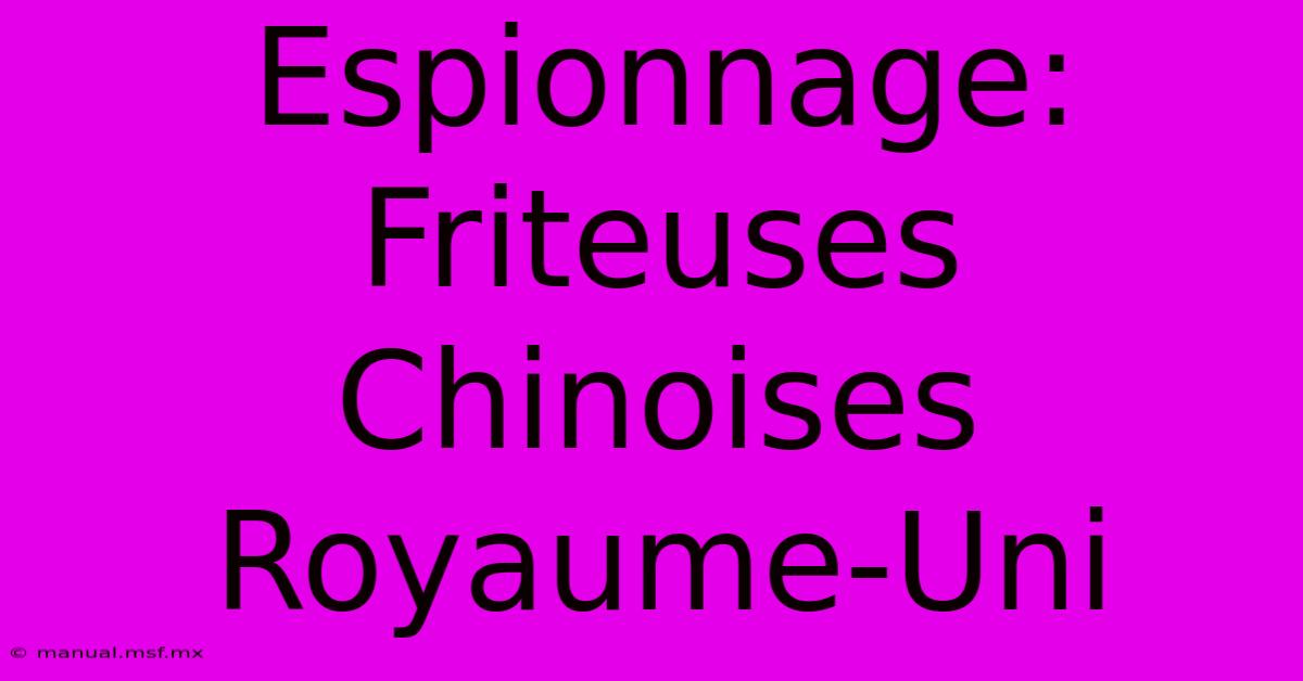 Espionnage: Friteuses Chinoises Royaume-Uni