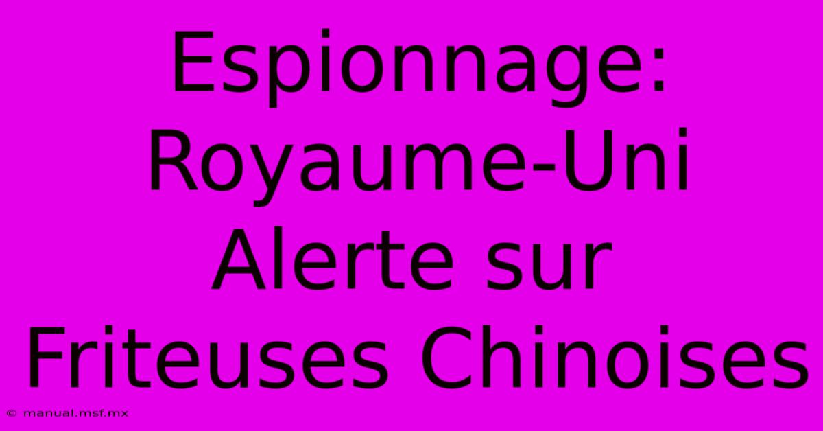 Espionnage: Royaume-Uni Alerte Sur Friteuses Chinoises 