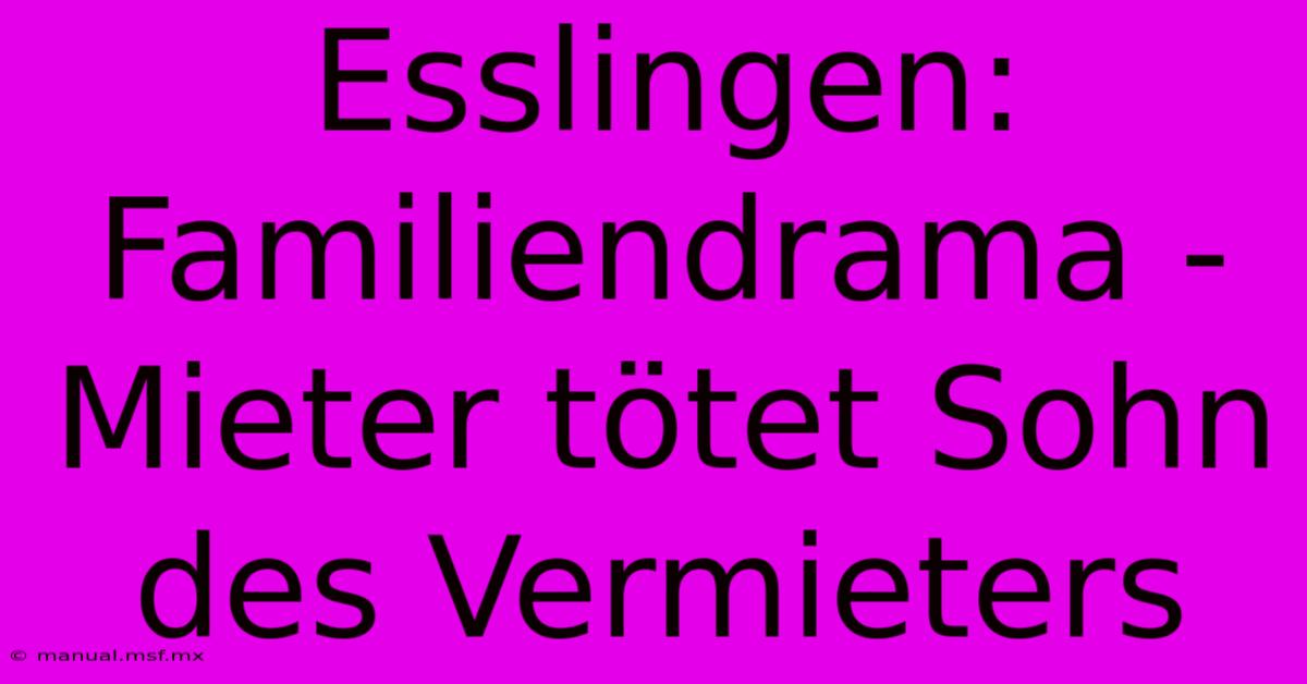 Esslingen: Familiendrama - Mieter Tötet Sohn Des Vermieters