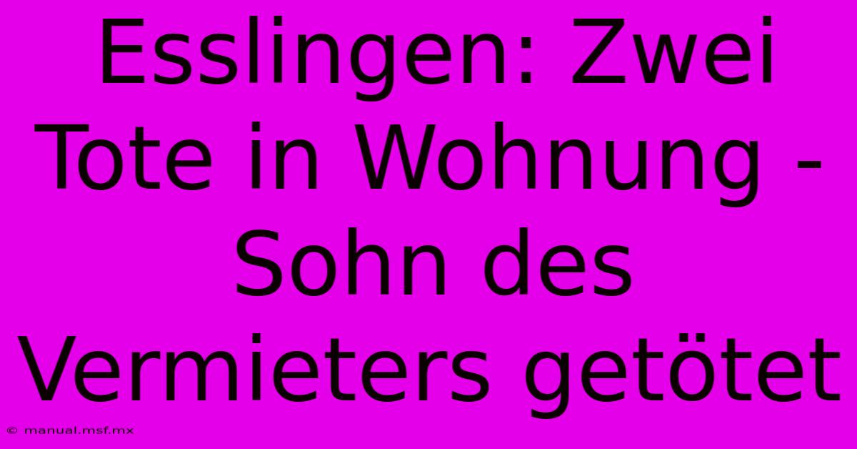 Esslingen: Zwei Tote In Wohnung - Sohn Des Vermieters Getötet