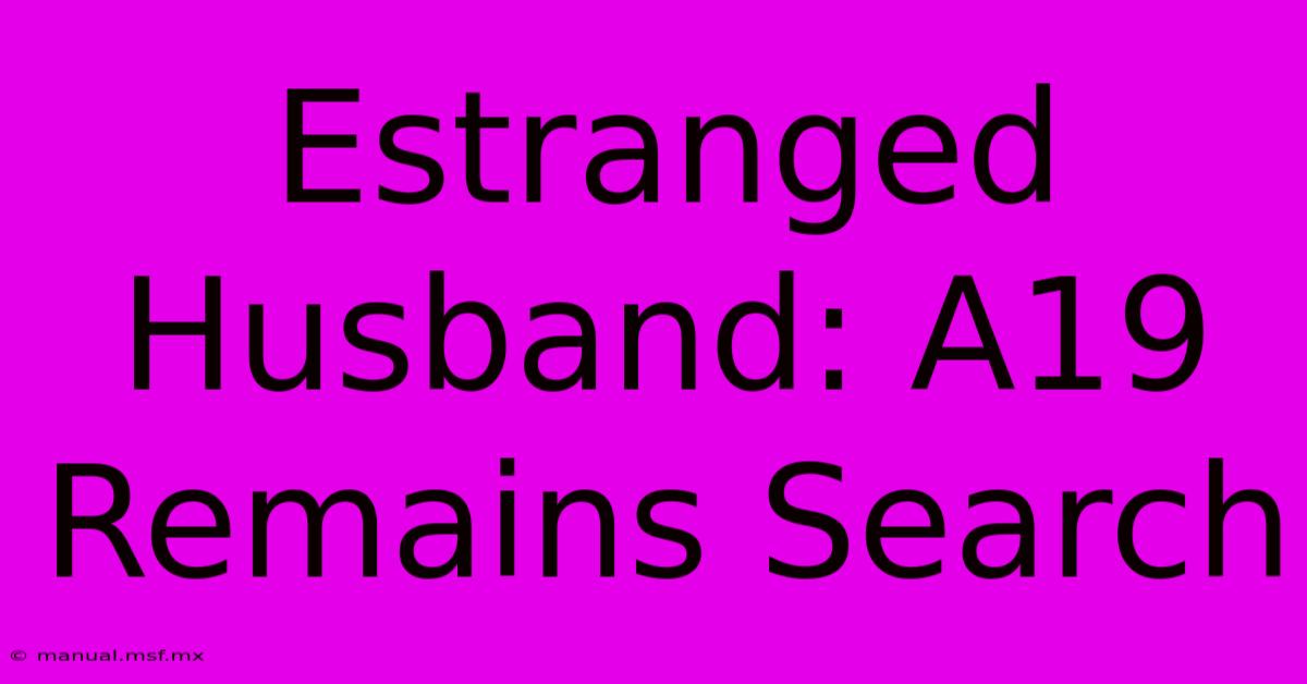 Estranged Husband: A19 Remains Search