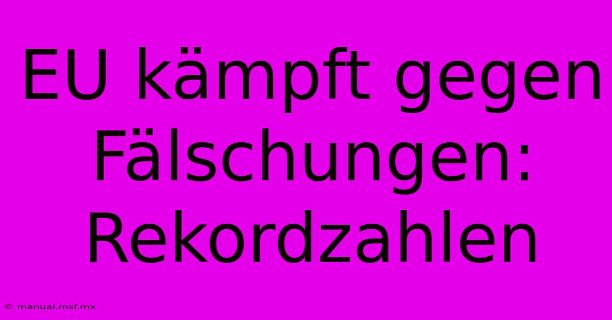 EU Kämpft Gegen Fälschungen: Rekordzahlen