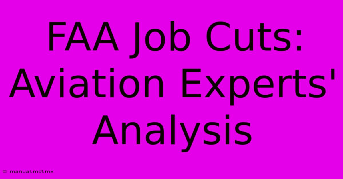 FAA Job Cuts: Aviation Experts' Analysis