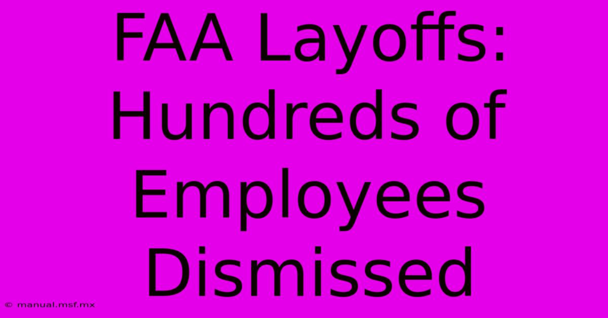 FAA Layoffs: Hundreds Of Employees Dismissed