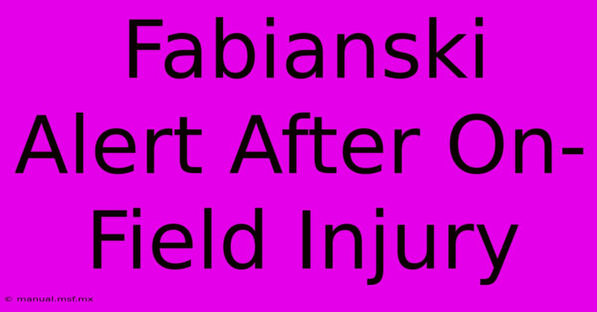 Fabianski Alert After On-Field Injury