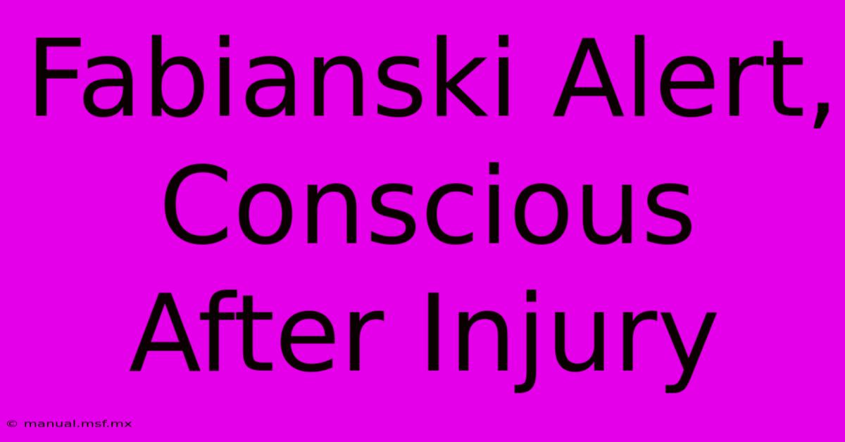 Fabianski Alert, Conscious After Injury