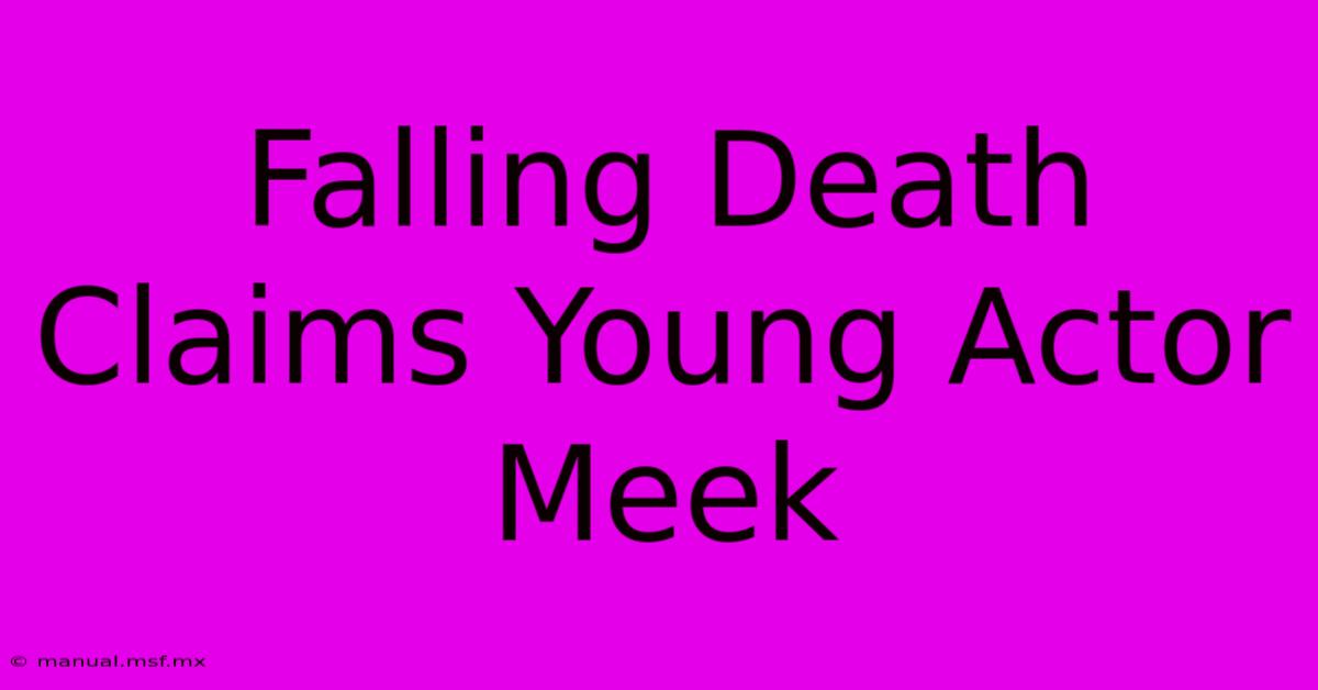 Falling Death Claims Young Actor Meek