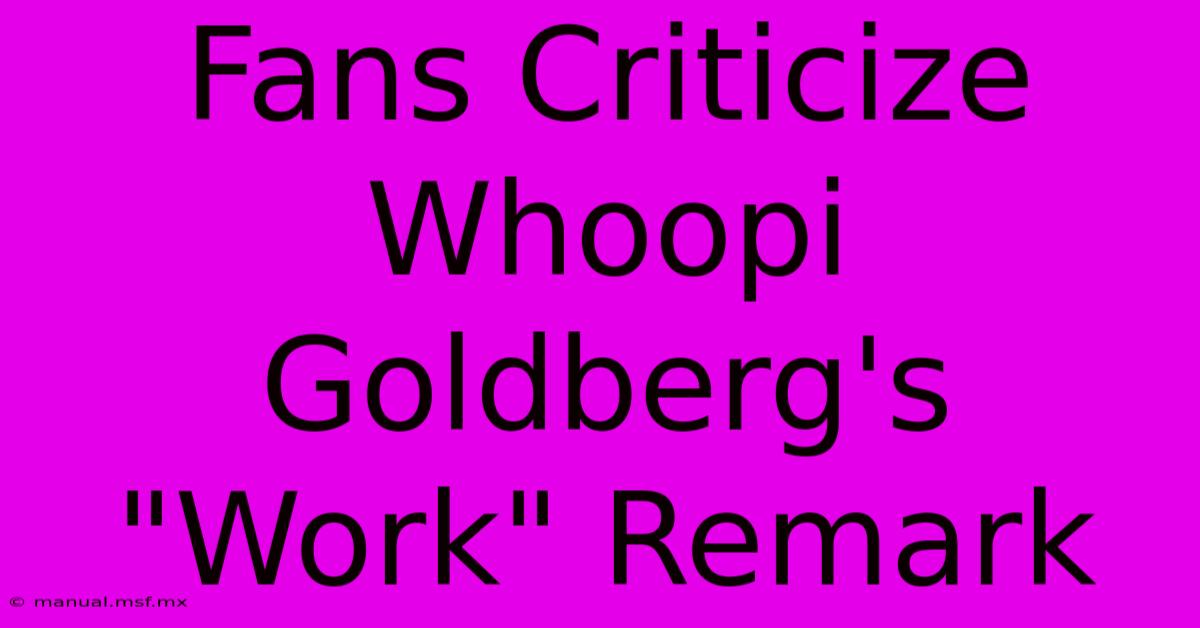 Fans Criticize Whoopi Goldberg's 