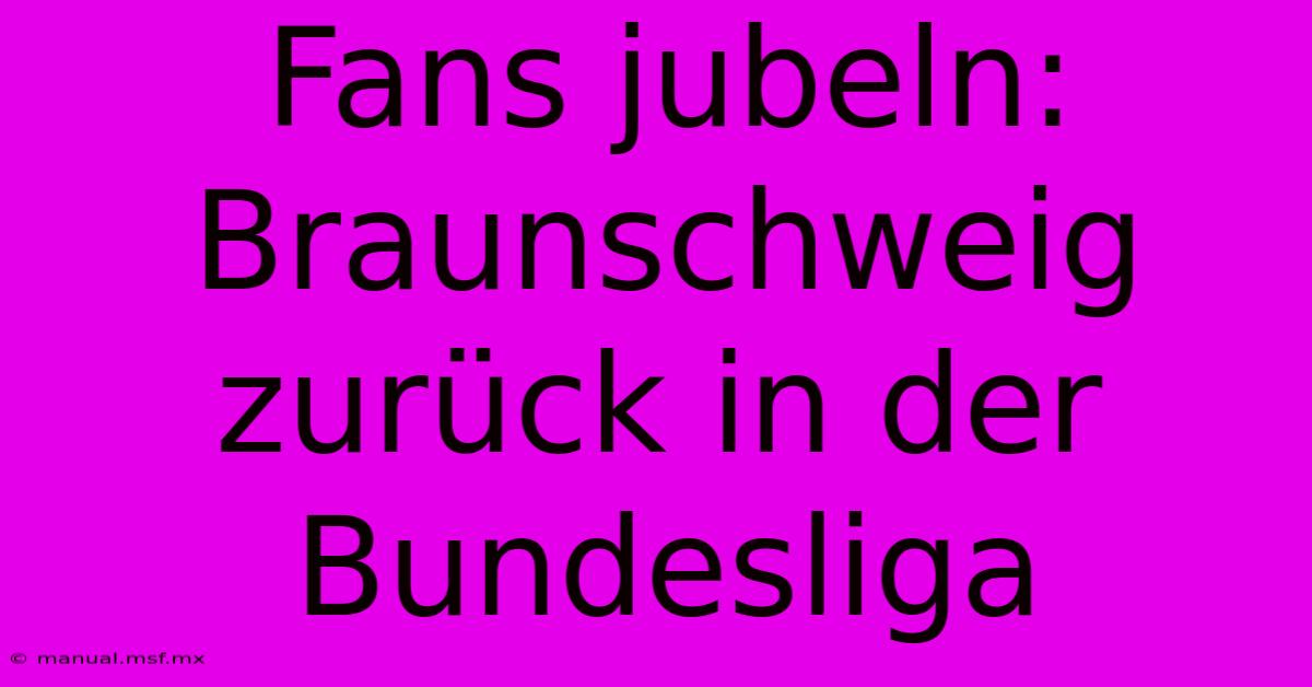 Fans Jubeln: Braunschweig Zurück In Der Bundesliga