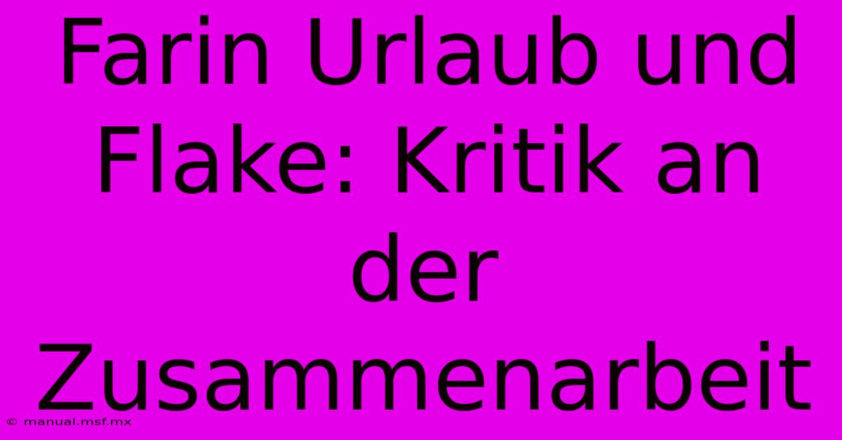 Farin Urlaub Und Flake: Kritik An Der Zusammenarbeit