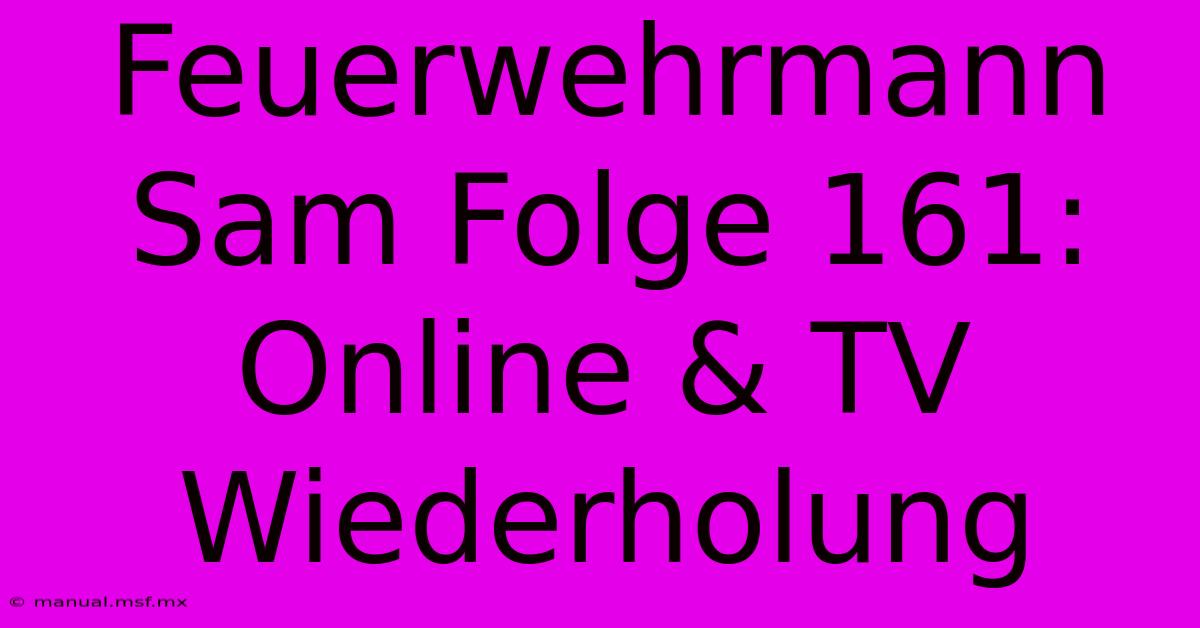 Feuerwehrmann Sam Folge 161: Online & TV Wiederholung