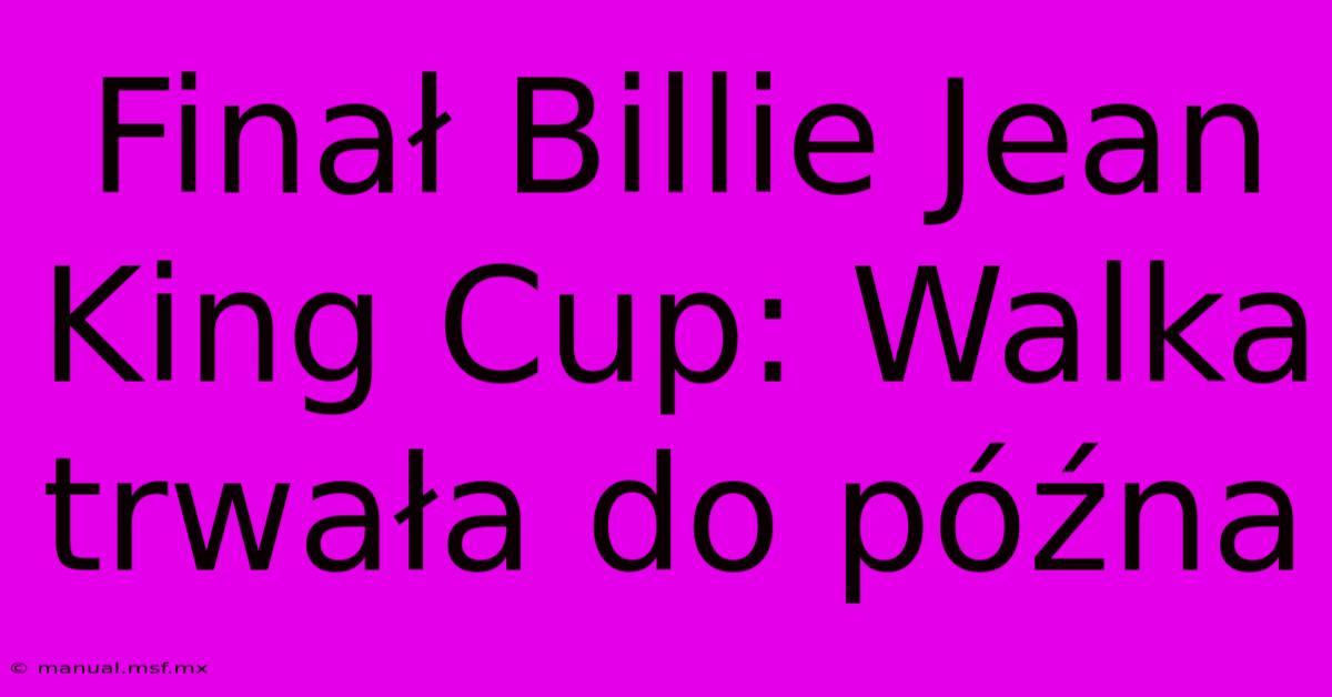 Finał Billie Jean King Cup: Walka Trwała Do Późna 