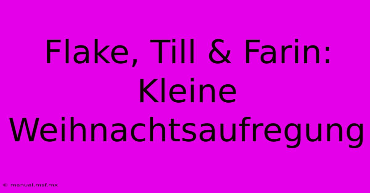 Flake, Till & Farin: Kleine Weihnachtsaufregung