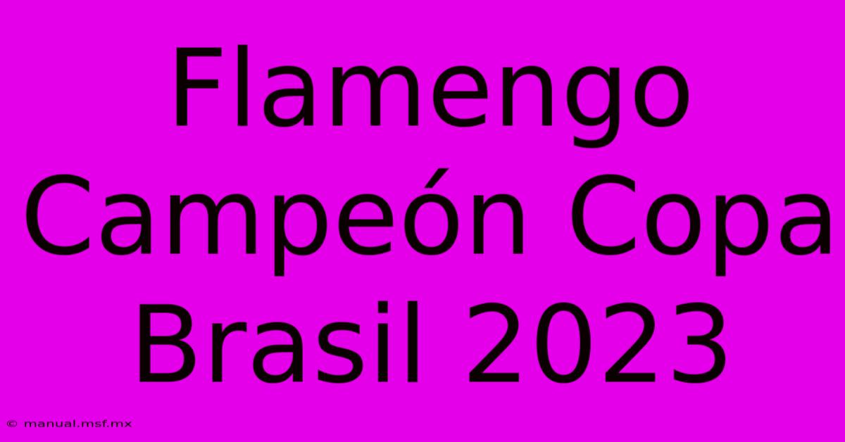 Flamengo Campeón Copa Brasil 2023