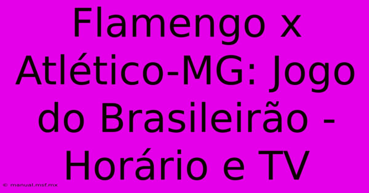 Flamengo X Atlético-MG: Jogo Do Brasileirão - Horário E TV