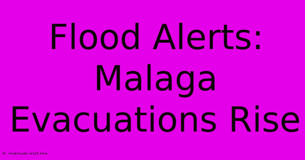 Flood Alerts: Malaga Evacuations Rise