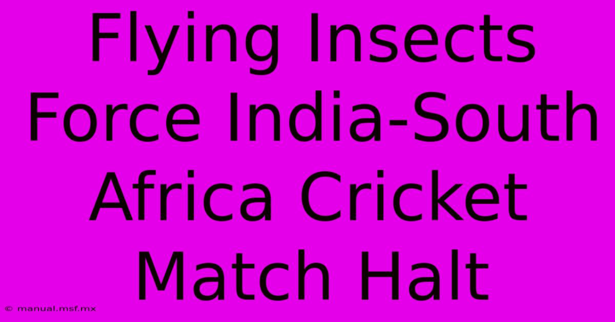 Flying Insects Force India-South Africa Cricket Match Halt