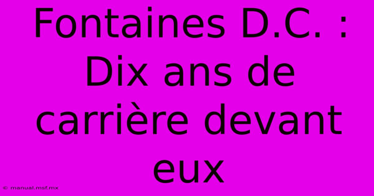 Fontaines D.C. : Dix Ans De Carrière Devant Eux