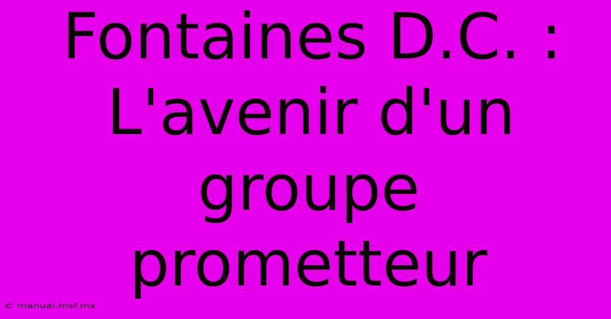 Fontaines D.C. :  L'avenir D'un Groupe Prometteur