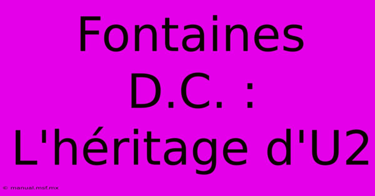 Fontaines D.C. : L'héritage D'U2