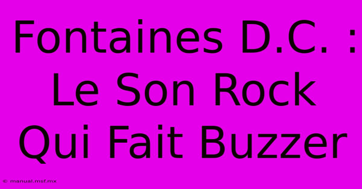 Fontaines D.C. : Le Son Rock Qui Fait Buzzer