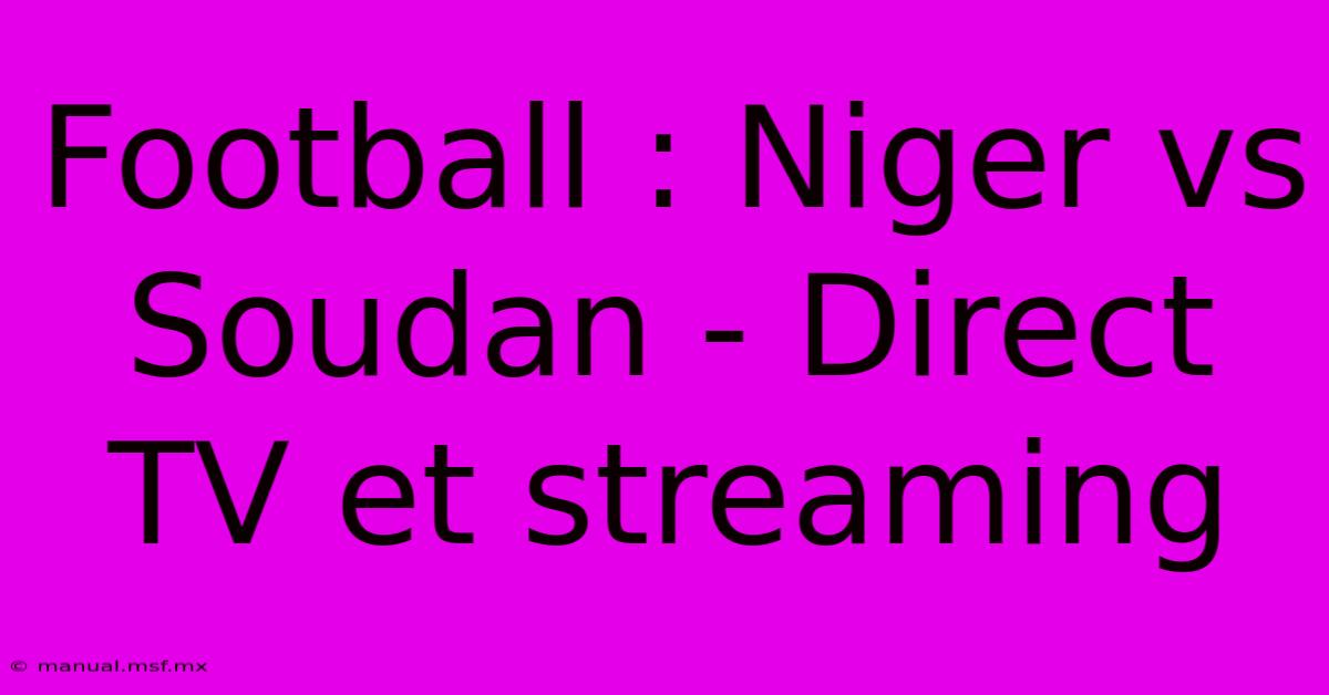 Football : Niger Vs Soudan - Direct TV Et Streaming