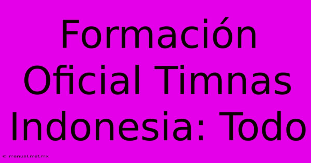 Formación Oficial Timnas Indonesia: Todo