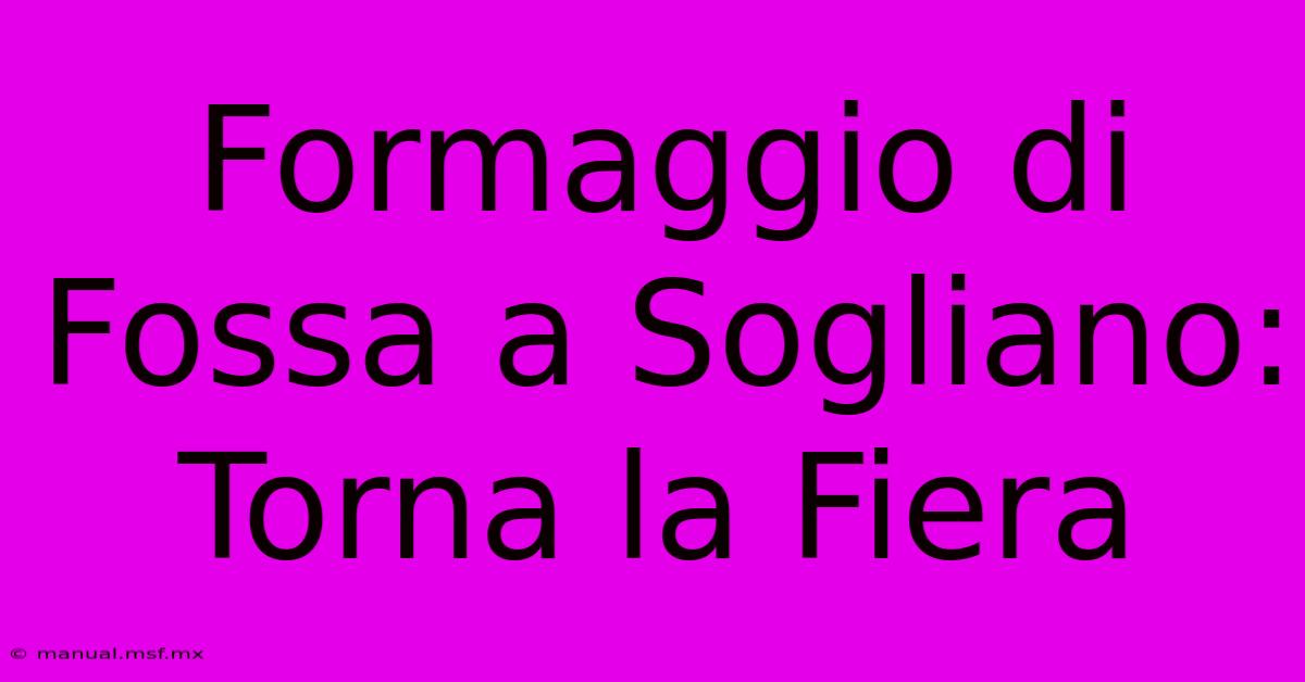 Formaggio Di Fossa A Sogliano: Torna La Fiera 