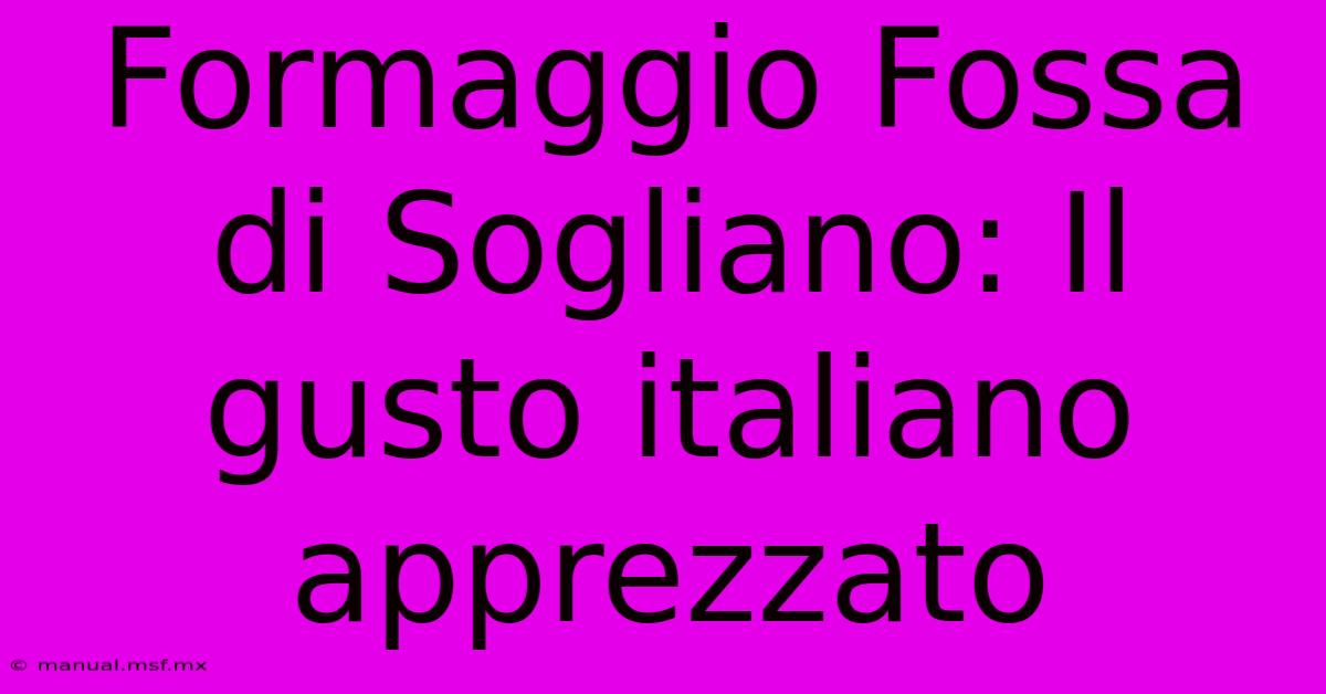 Formaggio Fossa Di Sogliano: Il Gusto Italiano Apprezzato 