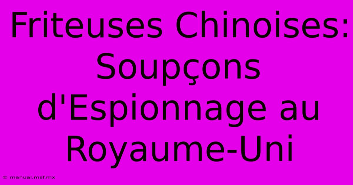 Friteuses Chinoises: Soupçons D'Espionnage Au Royaume-Uni