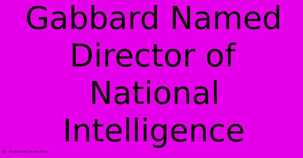 Gabbard Named Director Of National Intelligence