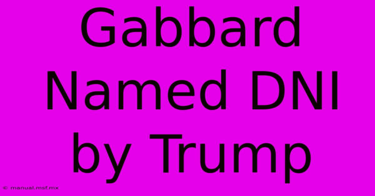 Gabbard Named DNI By Trump