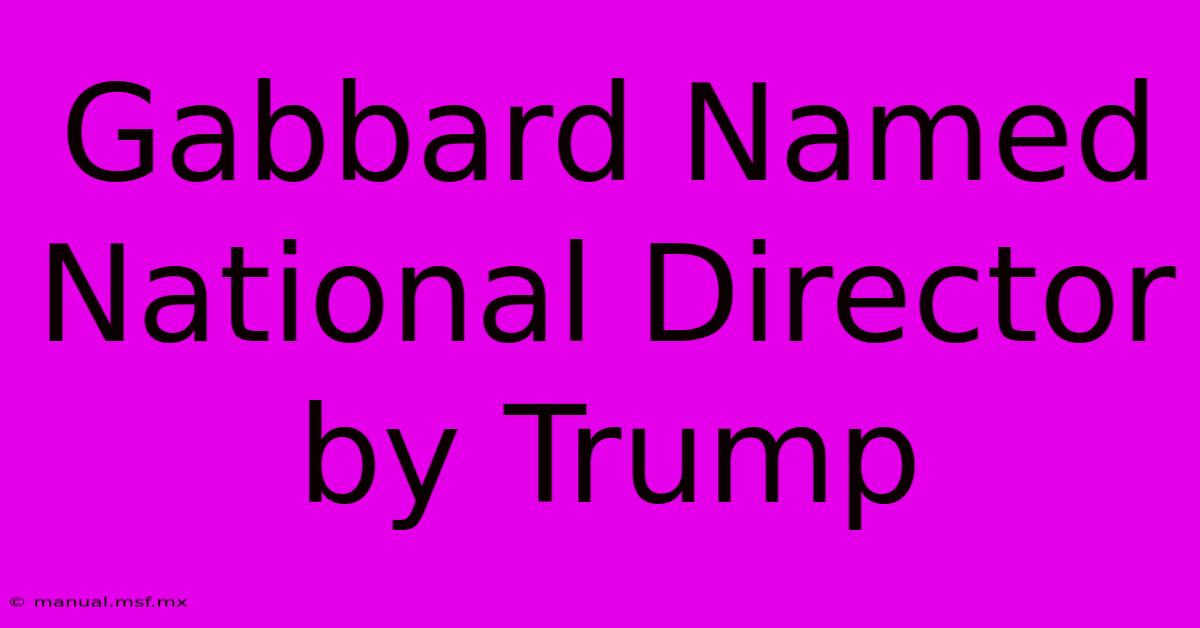 Gabbard Named National Director By Trump