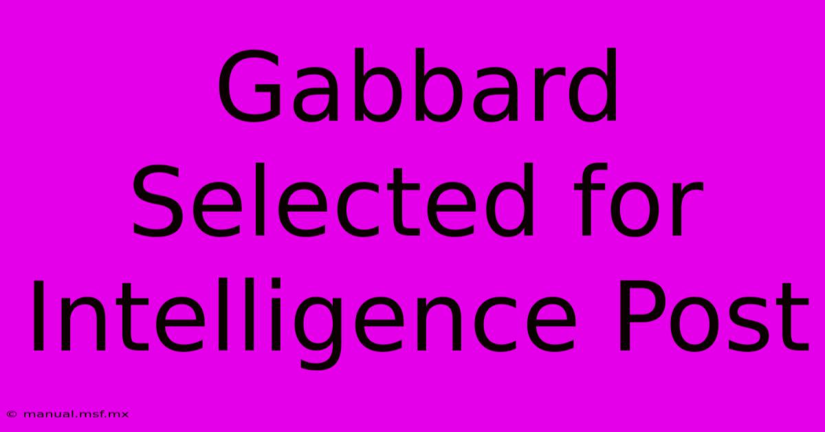 Gabbard Selected For Intelligence Post 