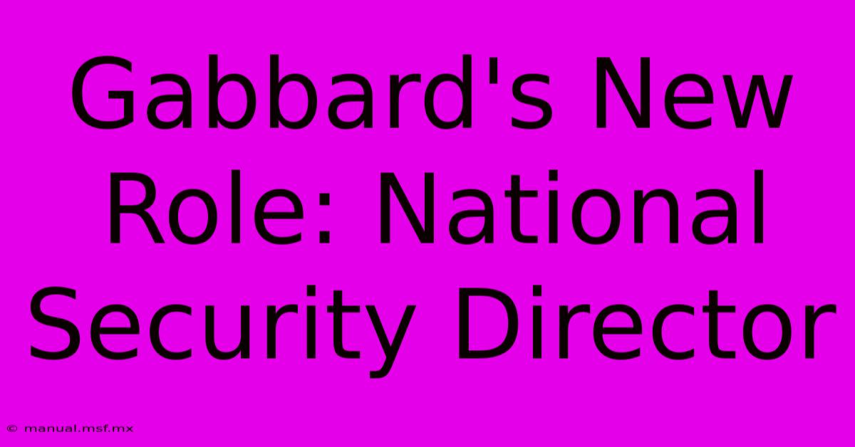 Gabbard's New Role: National Security Director