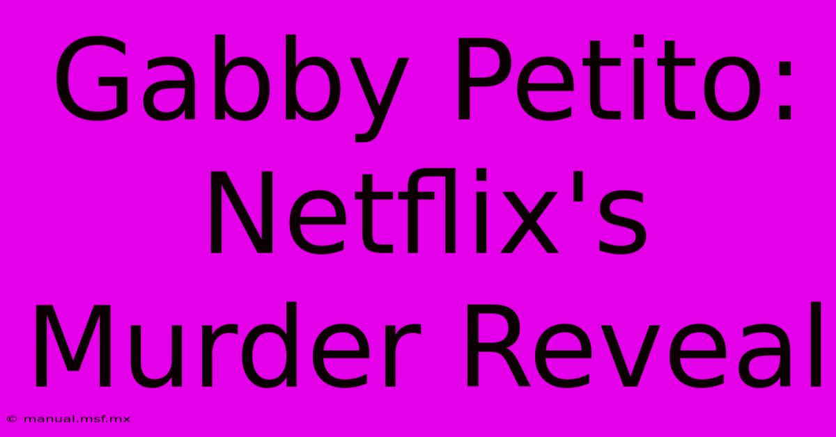 Gabby Petito: Netflix's Murder Reveal