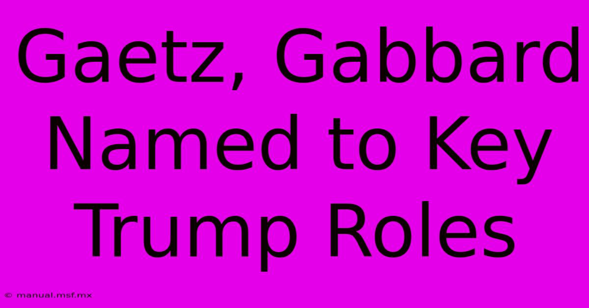 Gaetz, Gabbard Named To Key Trump Roles 