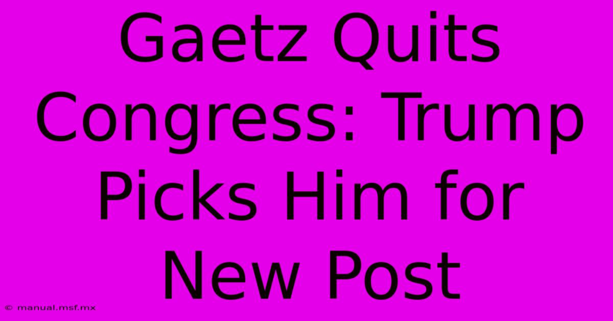 Gaetz Quits Congress: Trump Picks Him For New Post