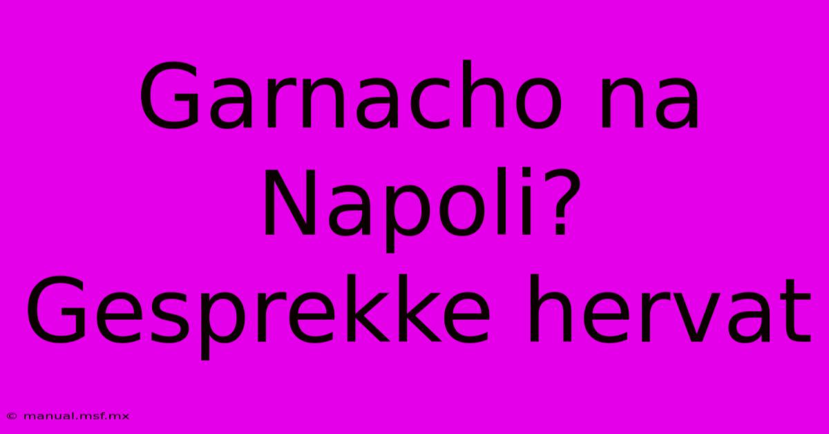 Garnacho Na Napoli? Gesprekke Hervat