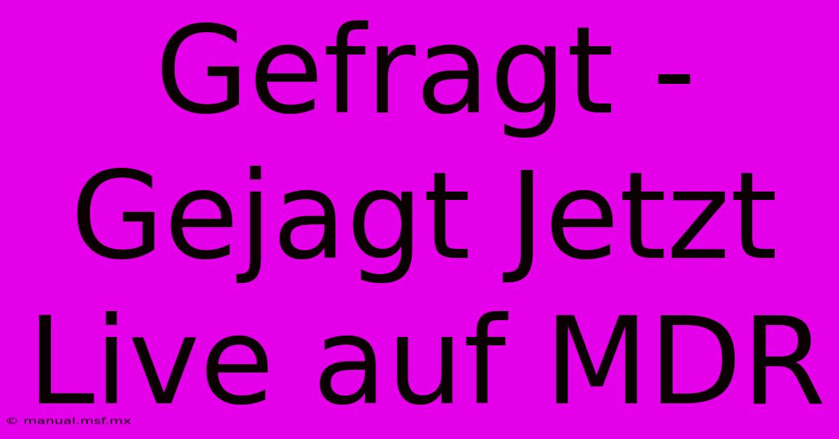 Gefragt - Gejagt Jetzt Live Auf MDR