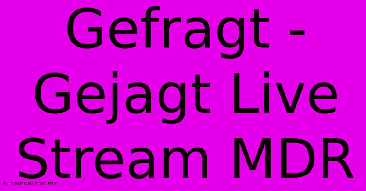 Gefragt - Gejagt Live Stream MDR