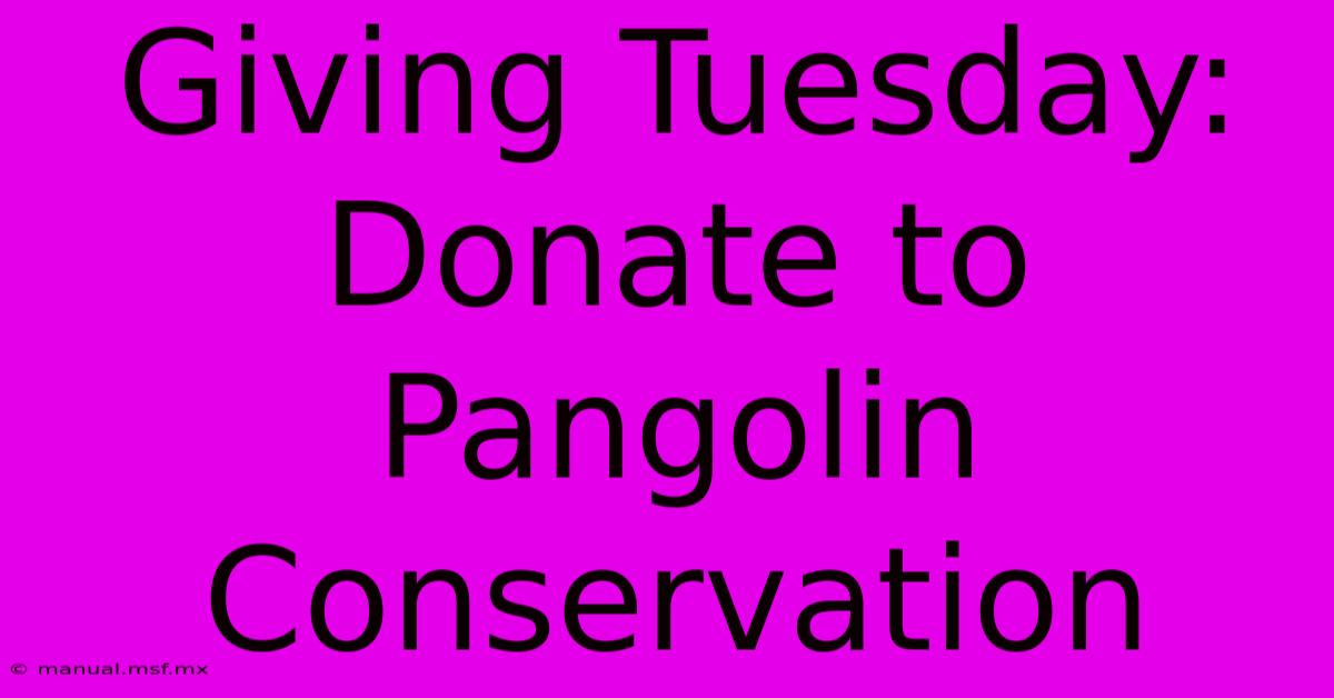 Giving Tuesday: Donate To Pangolin Conservation