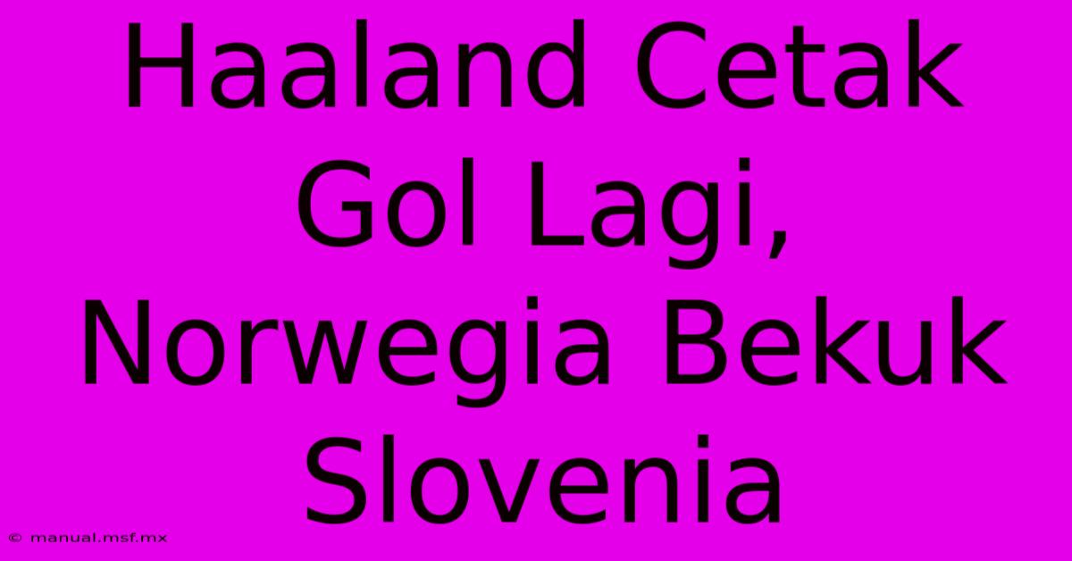 Haaland Cetak Gol Lagi, Norwegia Bekuk Slovenia