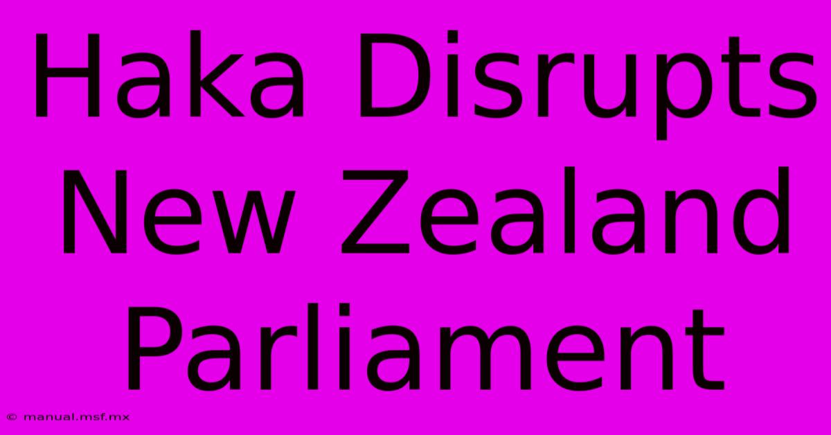 Haka Disrupts New Zealand Parliament