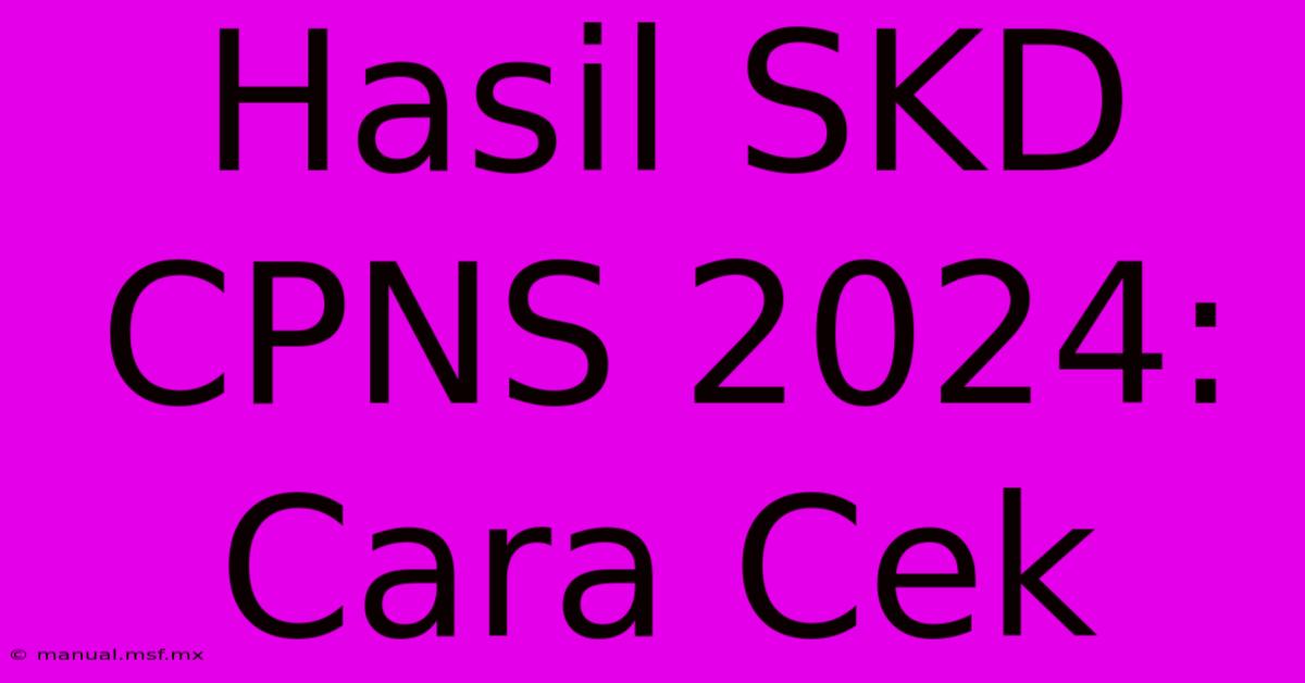 Hasil SKD CPNS 2024: Cara Cek