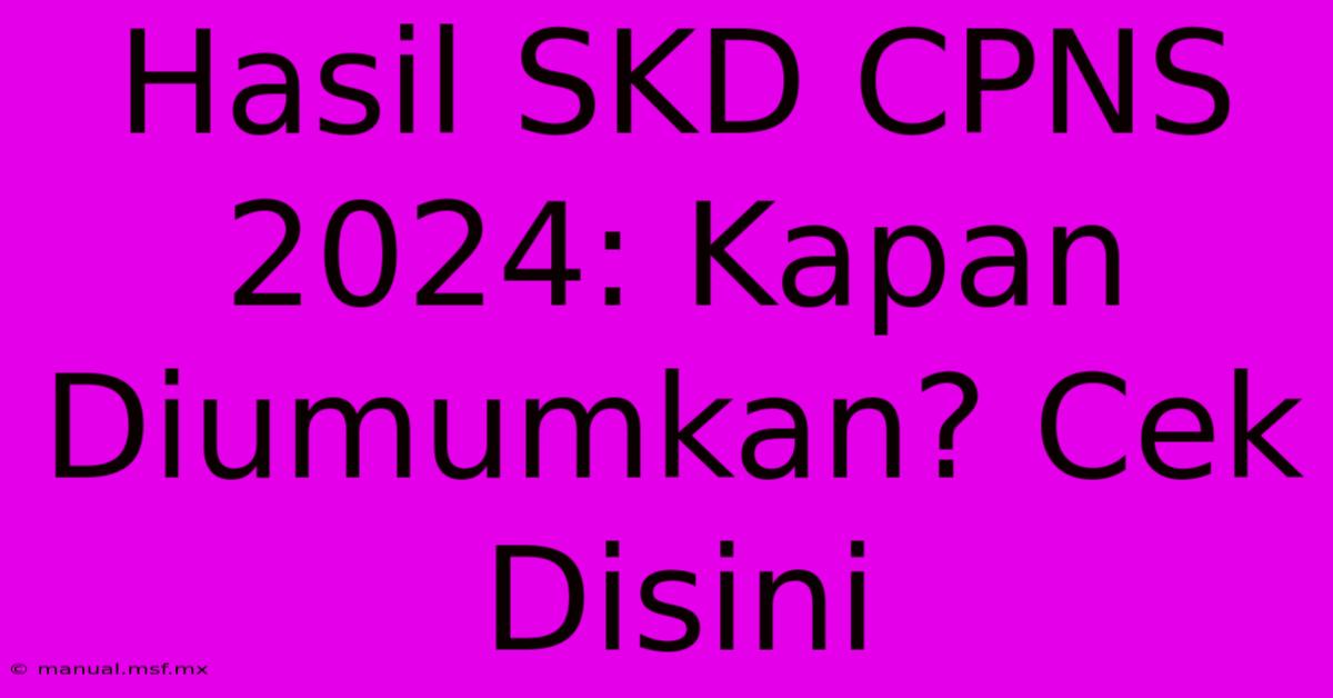 Hasil SKD CPNS 2024: Kapan Diumumkan? Cek Disini