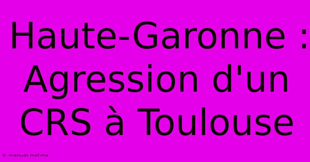 Haute-Garonne : Agression D'un CRS À Toulouse